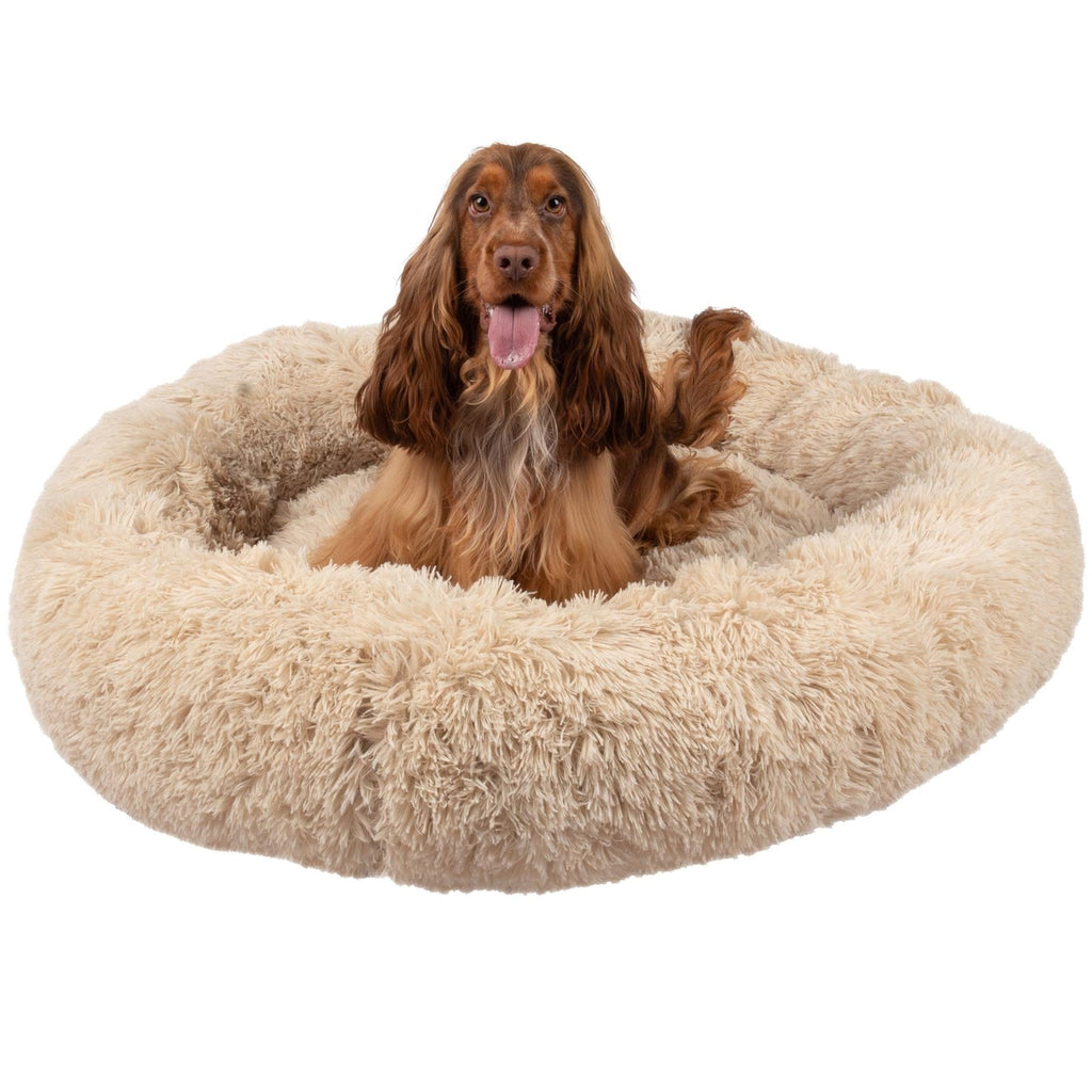 Heaven dog beds hotsell