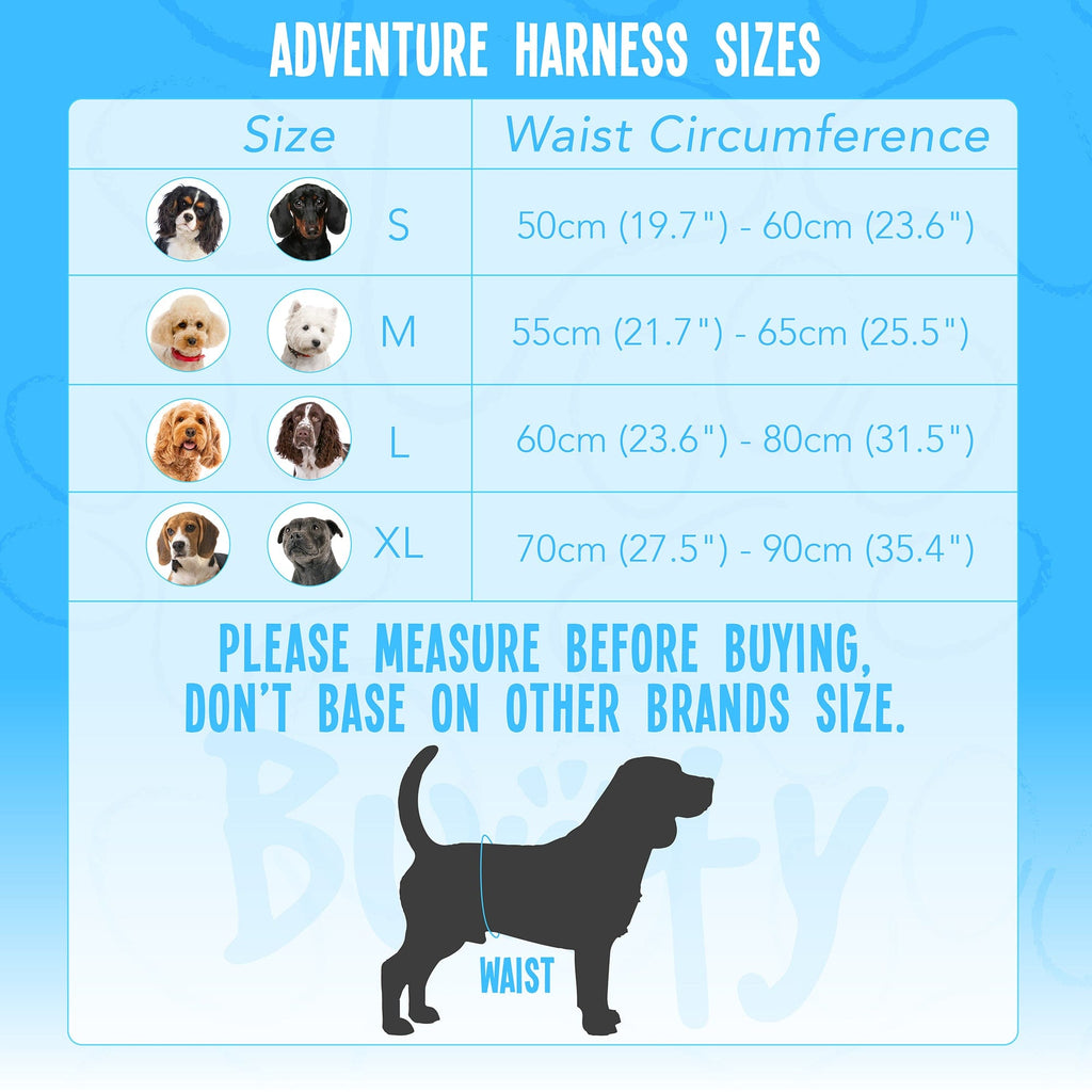 Bunty adventure harness sale