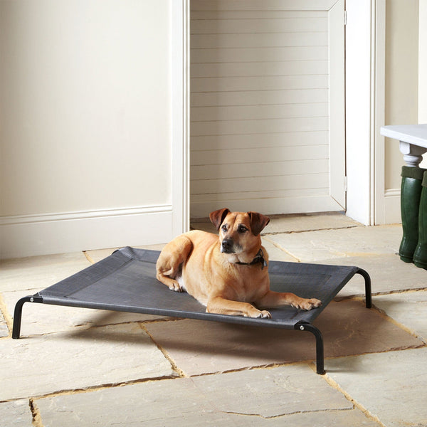 Raised orthopedic dog bed best sale