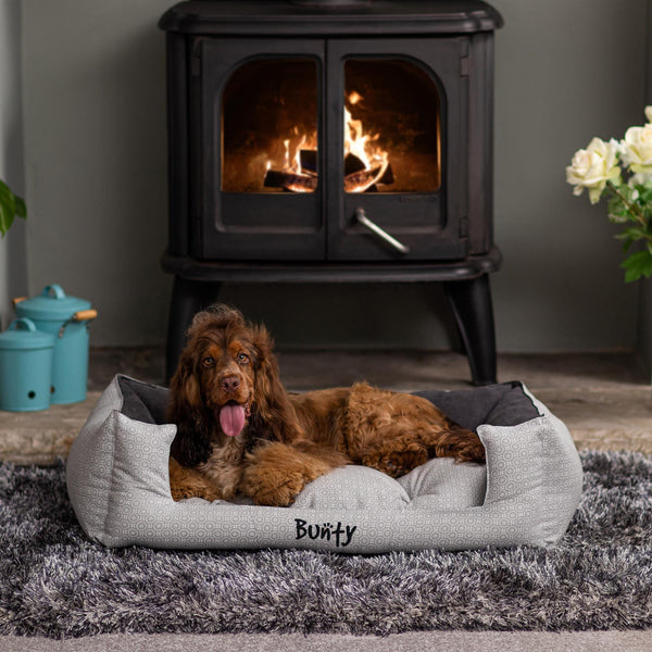 Bunty foldable elevated dog 2024 bed